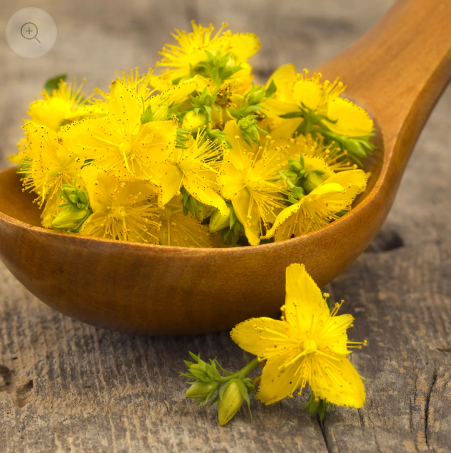 Johns Wort