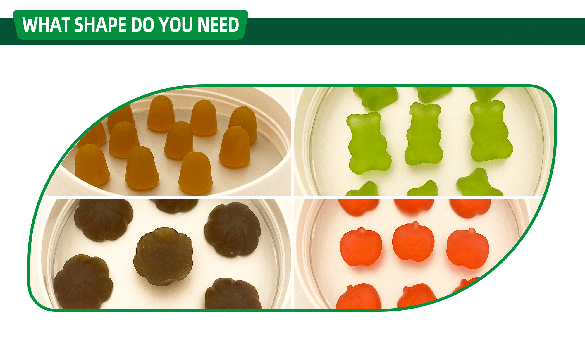 2000x gummybanner