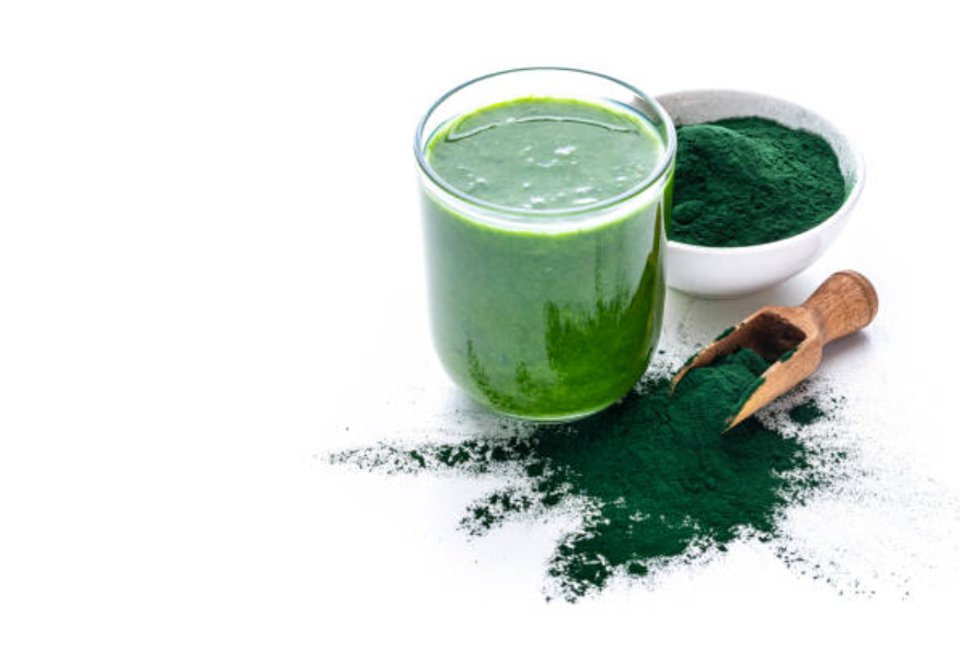 Chlorella 