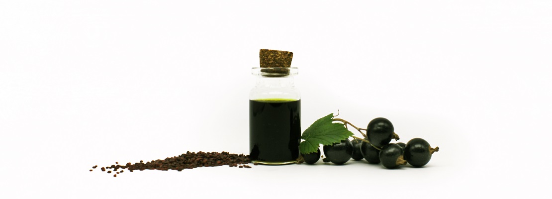 Black Currant Extract_