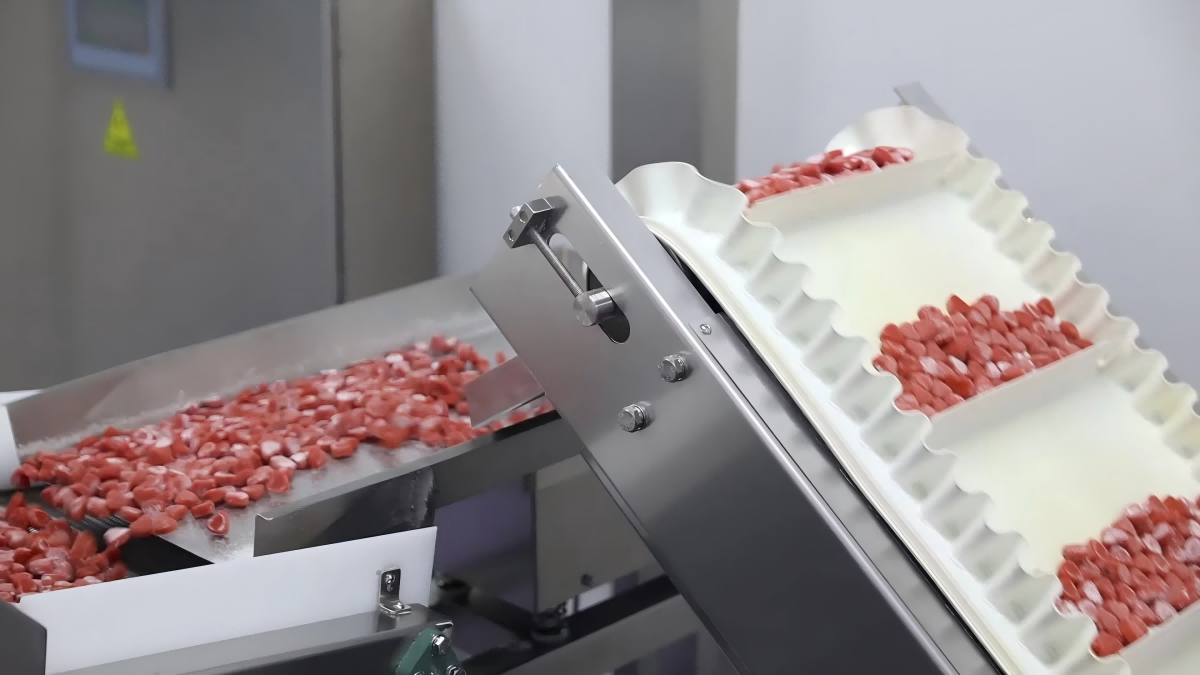 Gummy candy conveyor line(1)