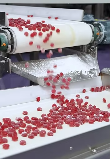 Gummy candy production line3