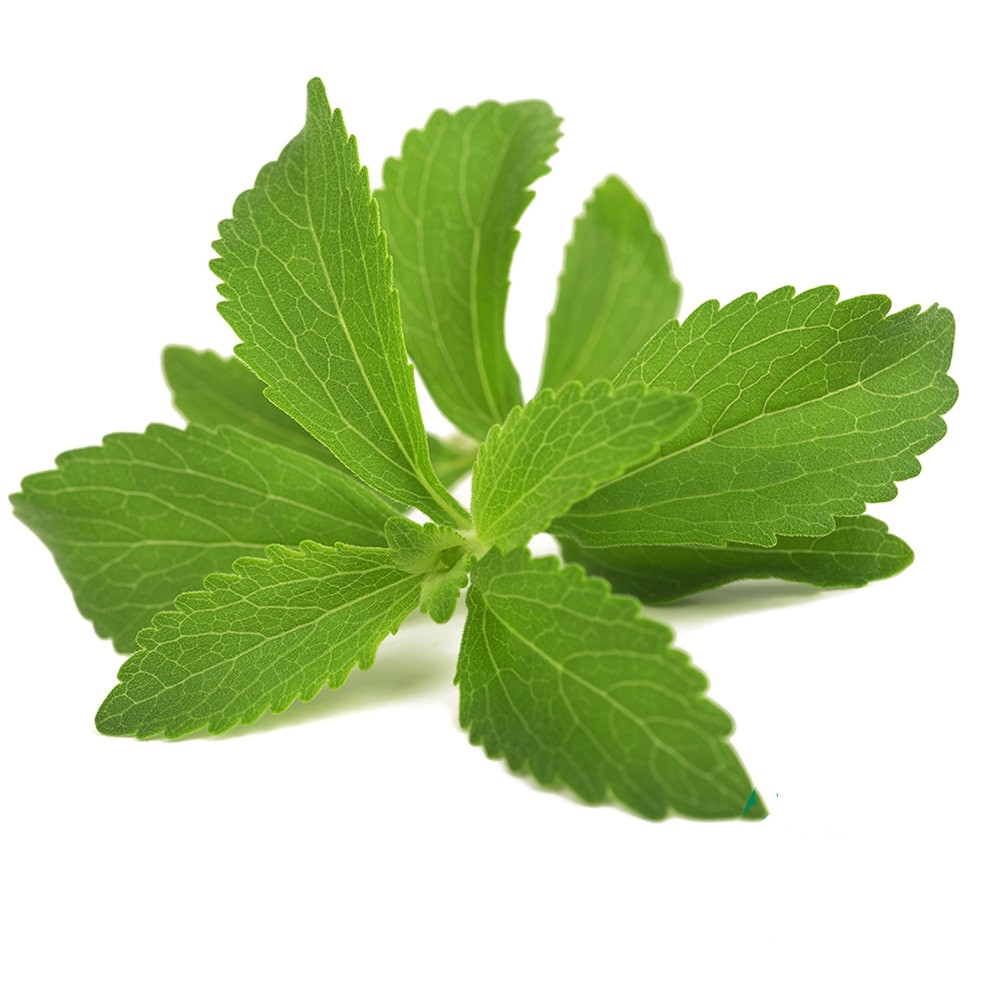 Organic-Stevia