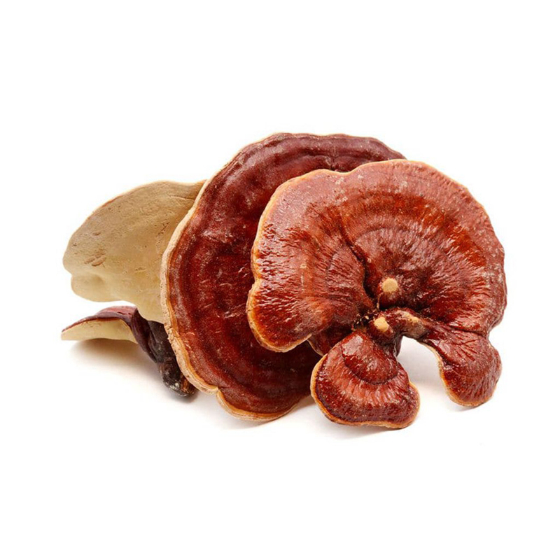 Reishi