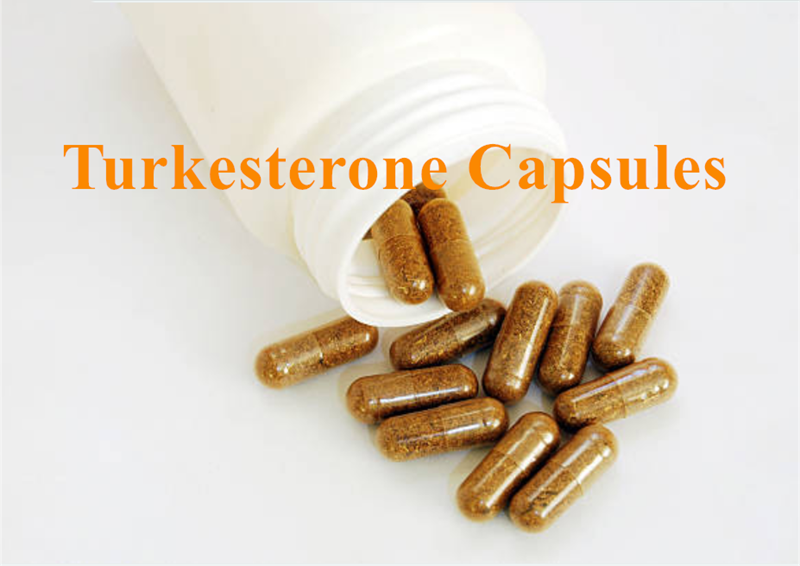 Turkesterone  caps_