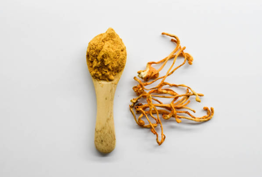 Cordyceps