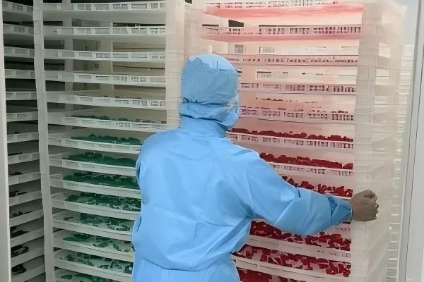 pushed the gummies candy to dry